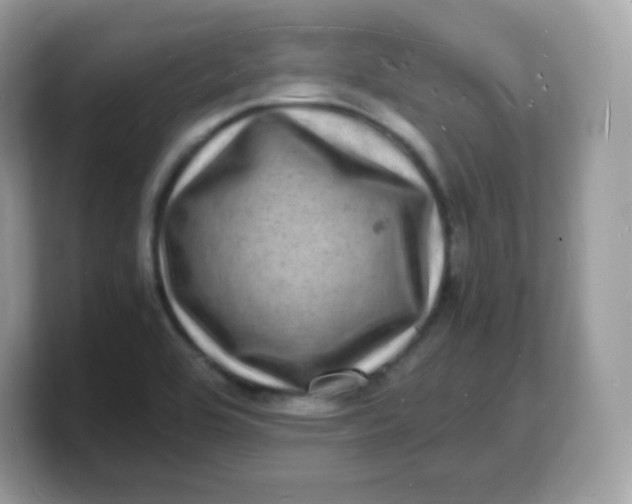X0000103251464200809181554