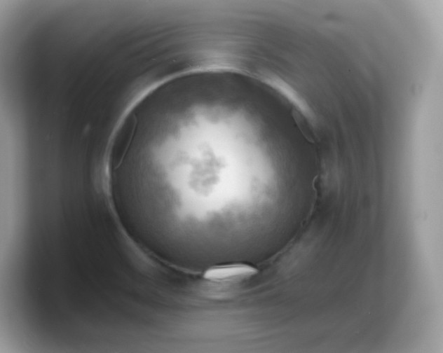 X0000103251468200809181554