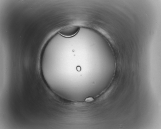 X0000103251469200809181554