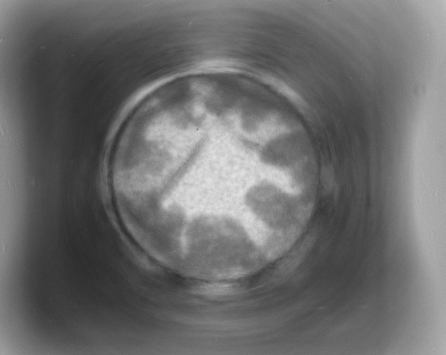 X0000103251470200809181554