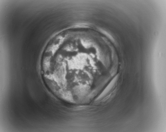 X0000103251471200809181554