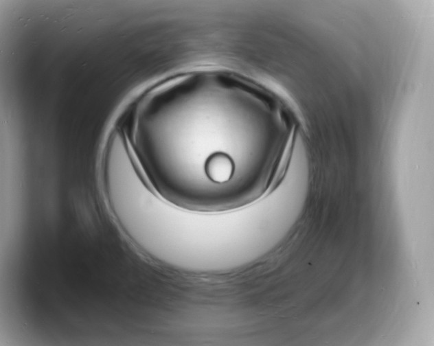 X0000103251472200809181554