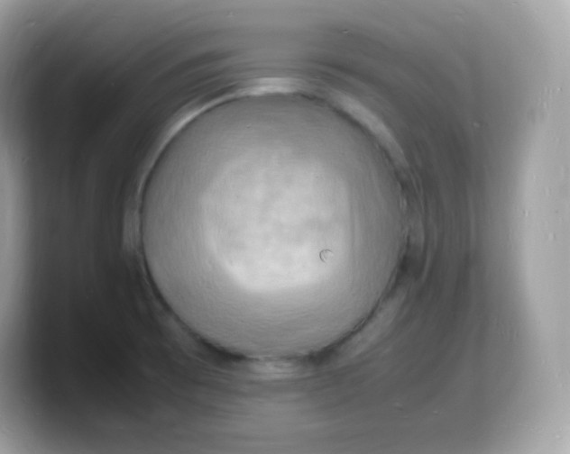 X0000103251473200809181554
