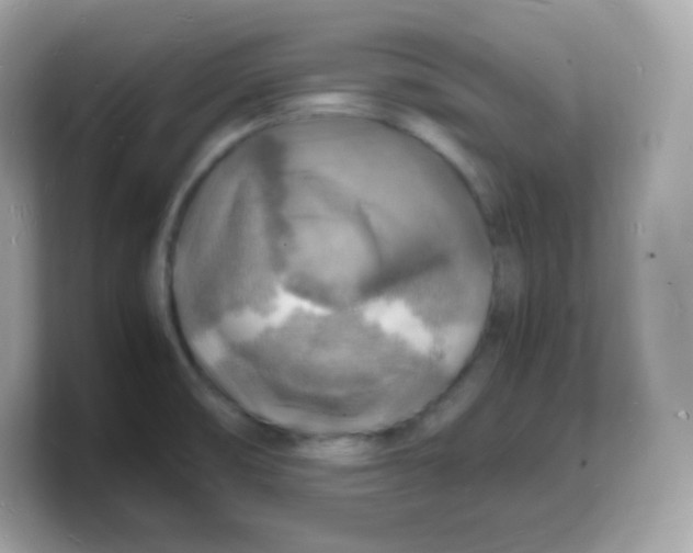 X0000103251474200809181554