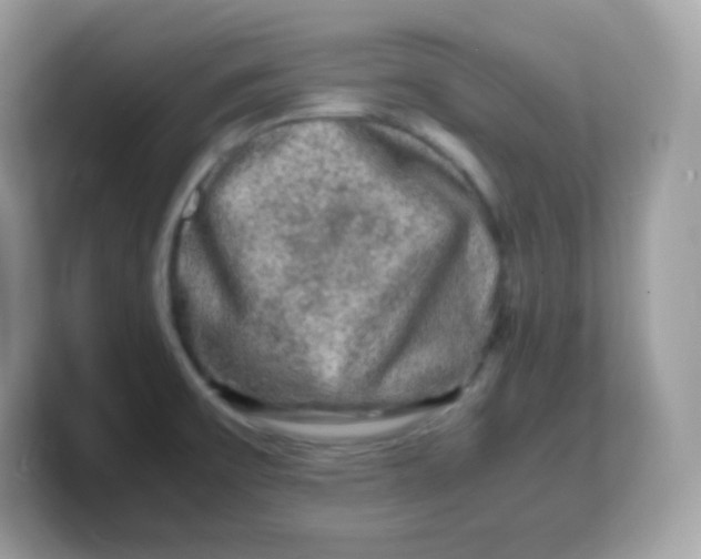 X0000103251475200809181554
