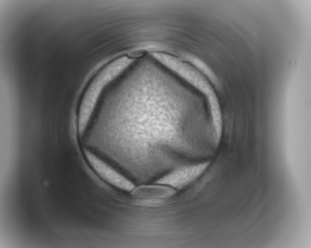 X0000103251476200809181554