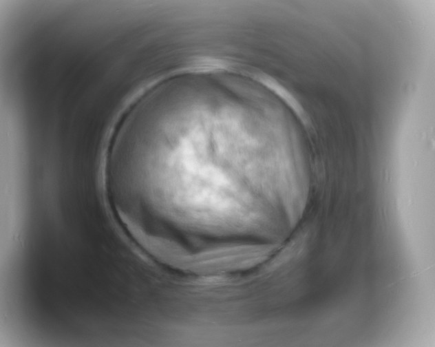 X0000103251477200809181554