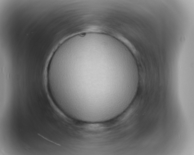 X0000103251479200809181554