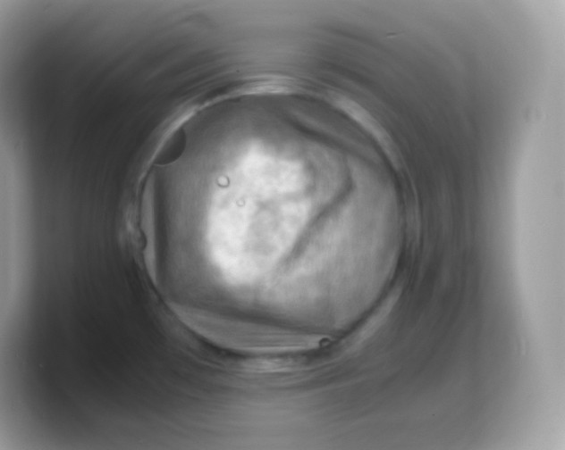 X0000103251481200809181554