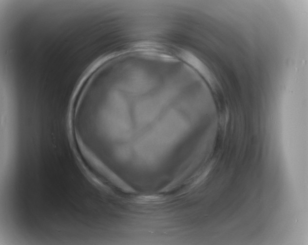 X0000103251482200809181554