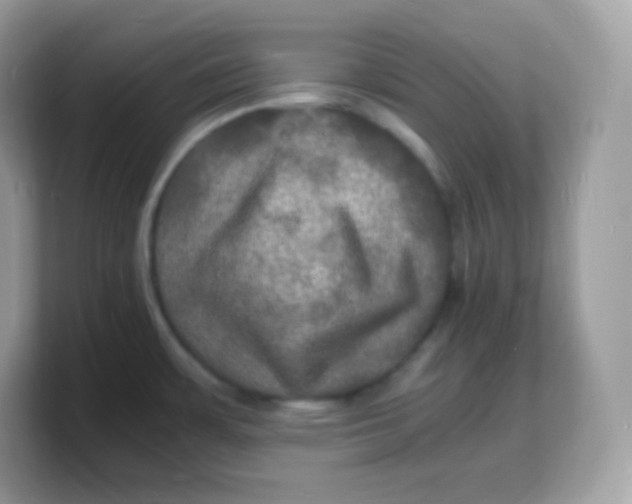 X0000103251483200809181554