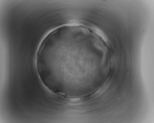 X0000103251484200809181554