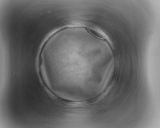 X0000103251485200809181554
