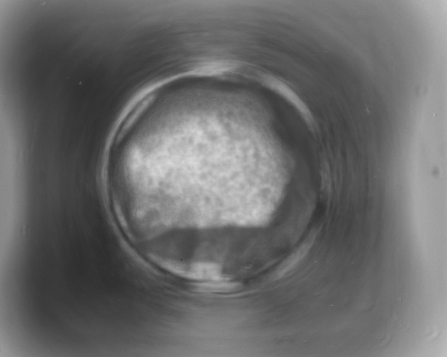 X0000103251487200809181554