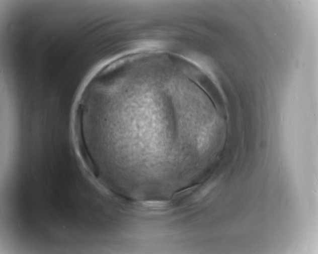 X0000103251488200809181554