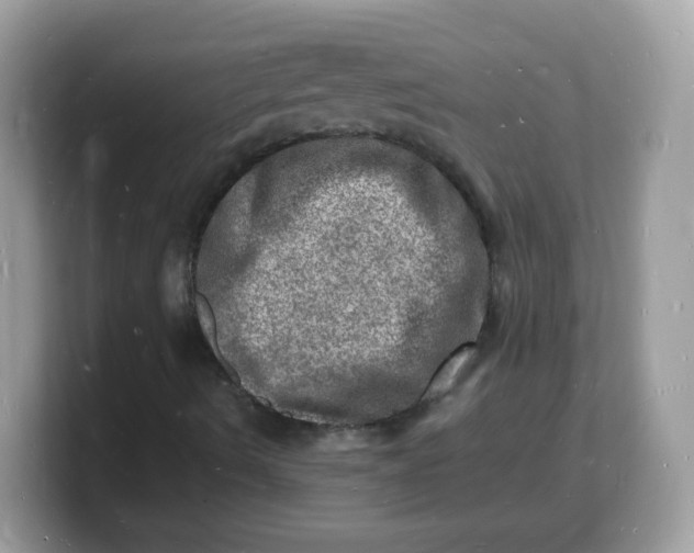 X0000103251490200809181553