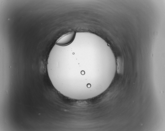 X0000103251491200809181553