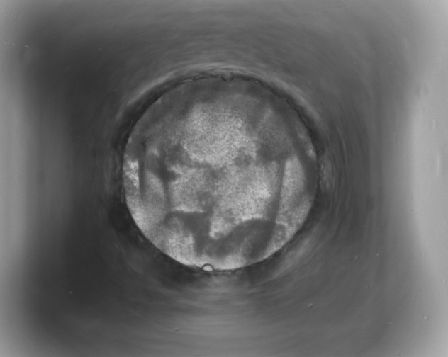 X0000103251494200809181553