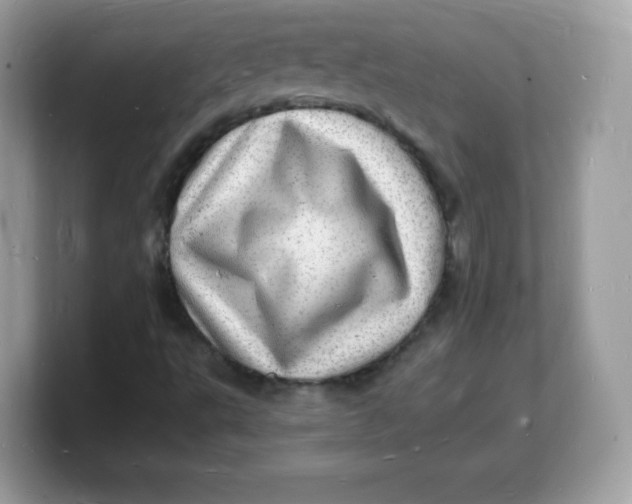 X0000103251495200809181553