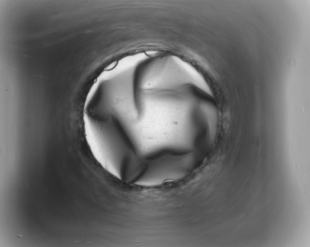 X0000103251496200809181553