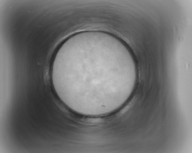 X0000103251498200809181553