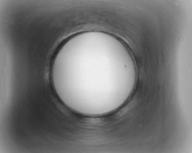 X0000103251499200809181553