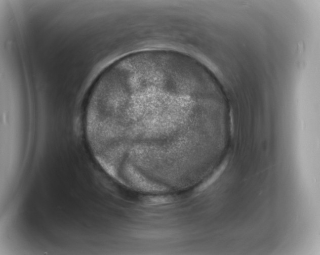 X0000103251501200809181553