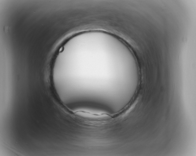 X0000103251502200809181553