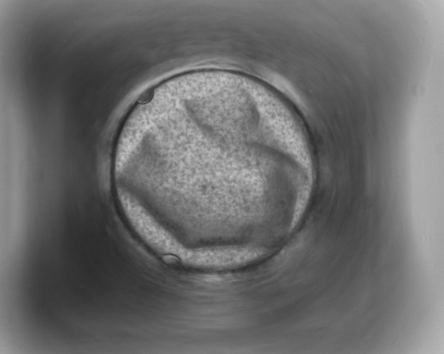 X0000103251504200809181553