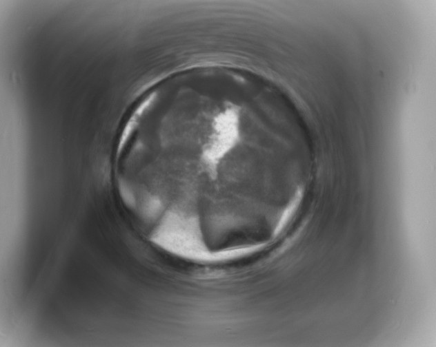 X0000103251505200809181553