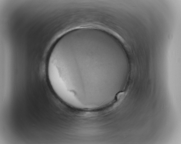 X0000103251506200809181553