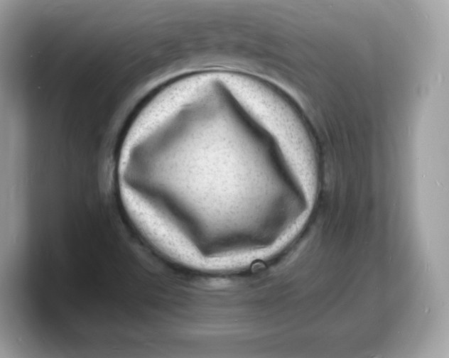 X0000103251507200809181553