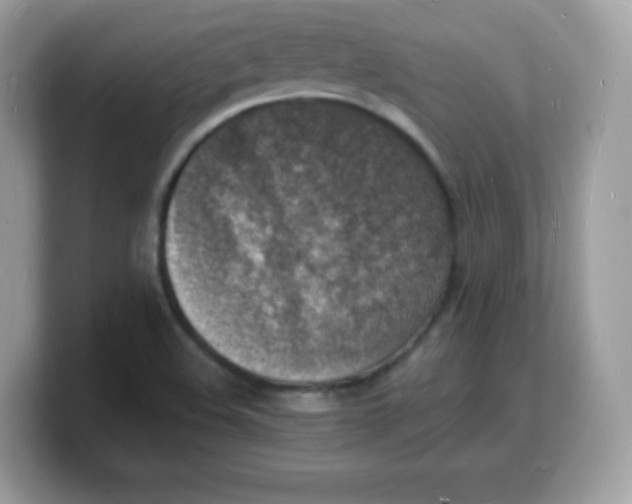 X0000103251508200809181553