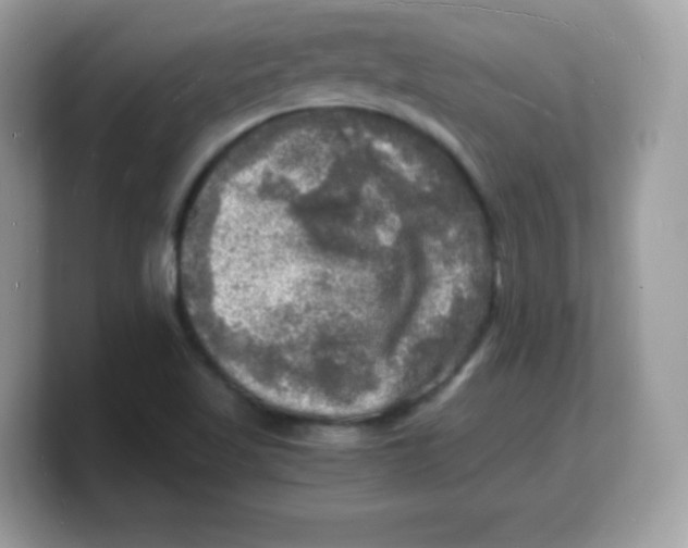 X0000103251509200809181553