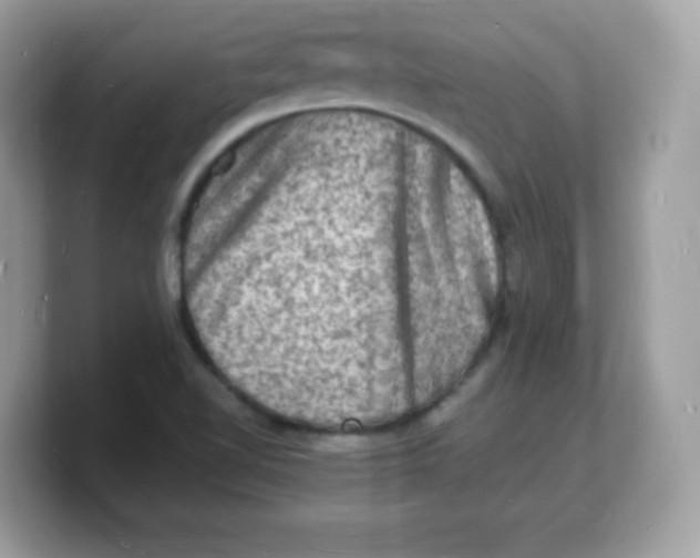 X0000103251510200809181554