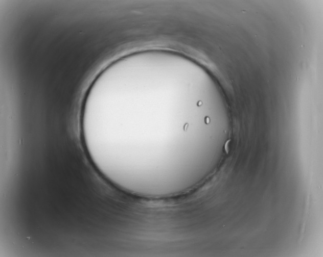 X0000103251512200809181554