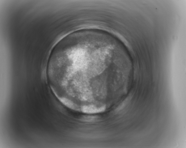 X0000103251513200809181554