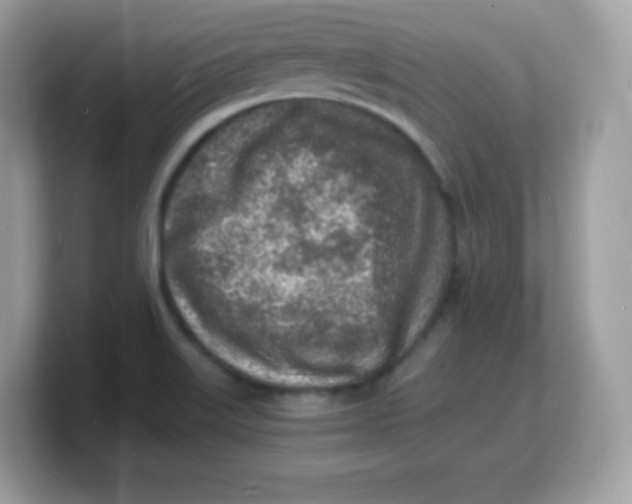 X0000103251515200809181554