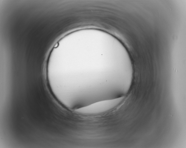 X0000103251516200809181554