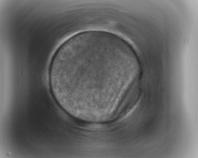 X0000103251517200809181554
