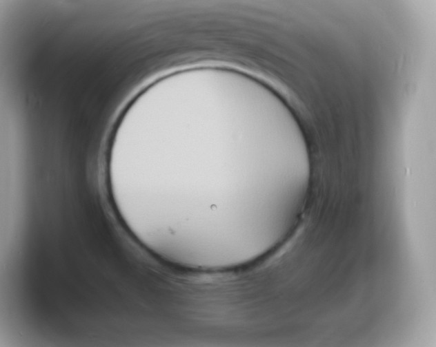 X0000103251518200809181554