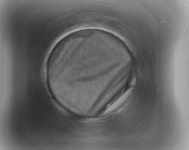 X0000103251519200809181554