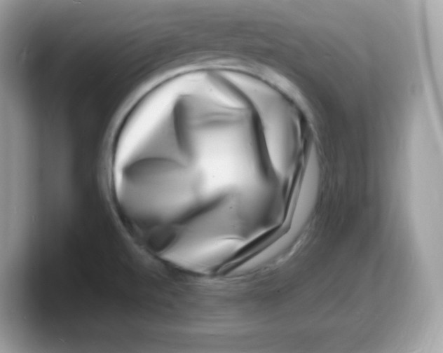 X0000103251520200809181554