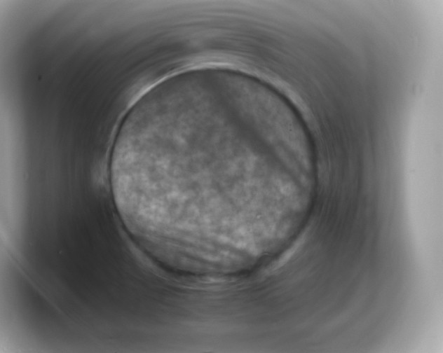 X0000103251521200809181554