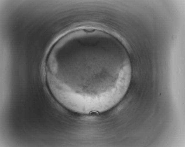 X0000103251522200809181554