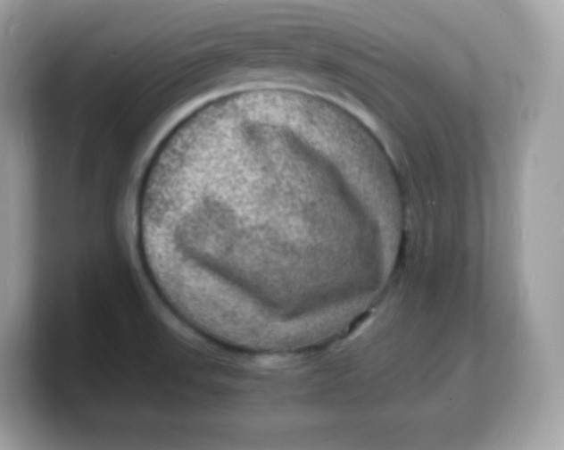 X0000103251523200809181554