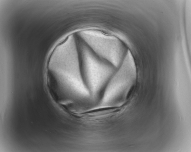 X0000103251524200809181554