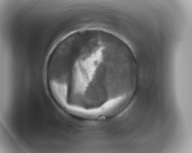 X0000103251525200809181554