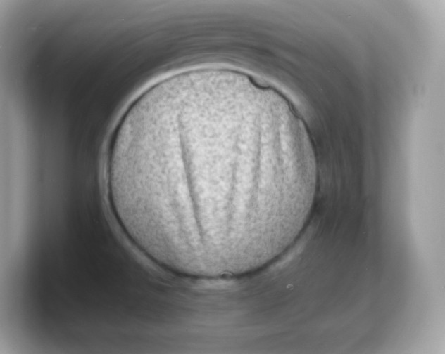 X0000103251526200809181554