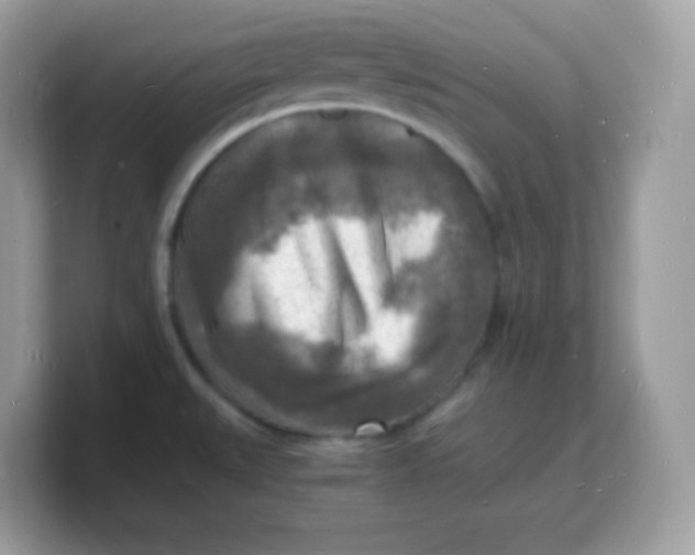 X0000103251527200809181554